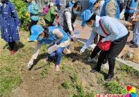 丹岭社区开展“播种小花种，建设大庭院”志愿服务活动